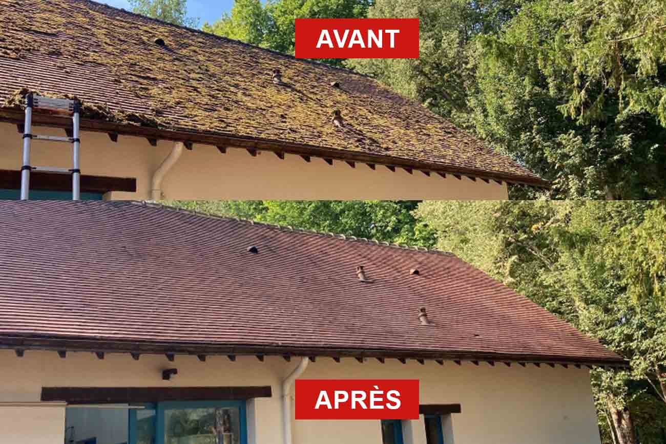 Peinture hydrofuge toiture - TECHNIC ROOF : nettoyage démoussage toiture et protection anti-mousse. Revêtement peinture résine hydrofuge coloré en Belgique : Région Flamande, Wallonne, Bruxelles